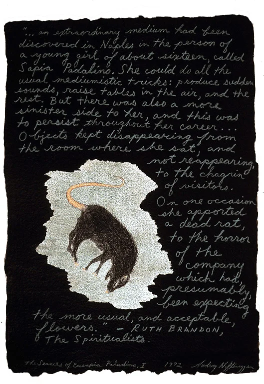 The Seances of Eusapia Paladino, I, 1992