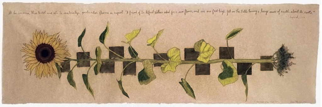 Seance of Agnes Nichol, II, 1992
