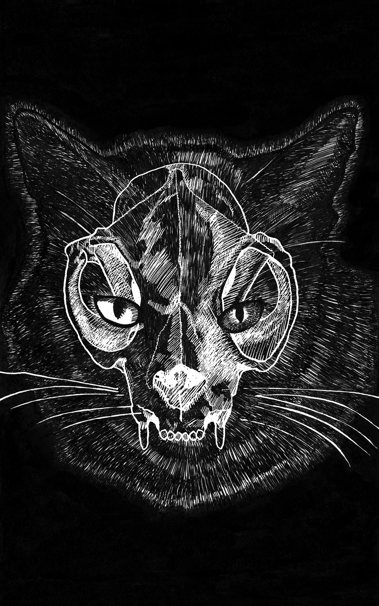 Black Cat, 2015