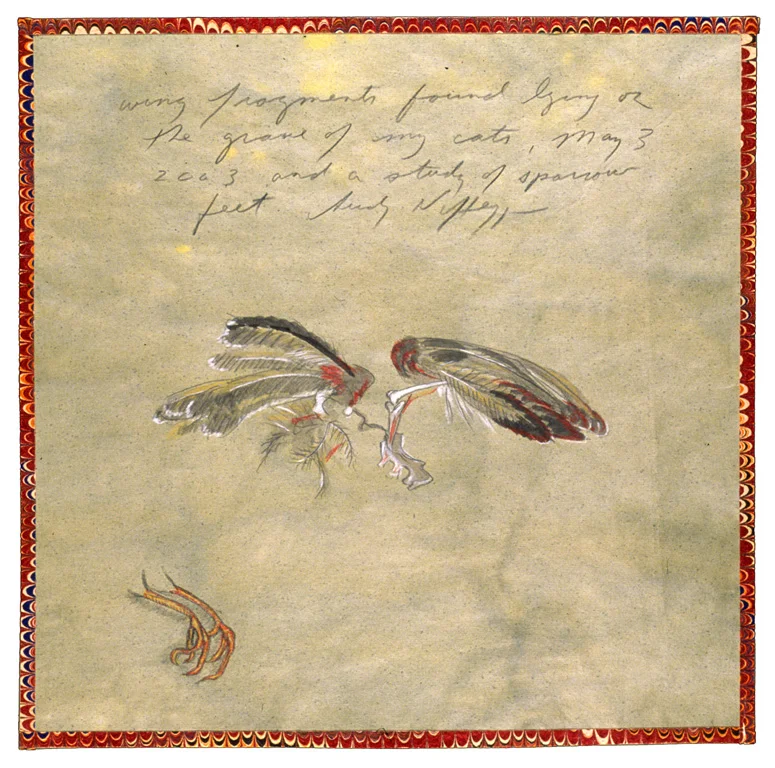 Wing Fragments Found on Cat’s Grave, 2003
