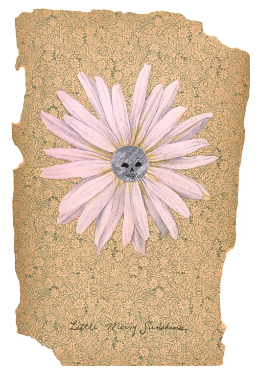 Ferocious Bonbons, 2003