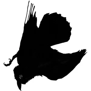 Audrey Niffenegger Interviewed on Dear Author