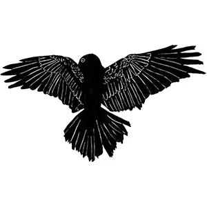 Manchester Lit Festival, 2013 – Jeanette Winterson & Audrey Niffenegger