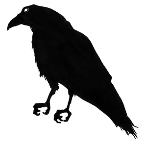 Raven Girl – Review by Luke Jennings for the Observer