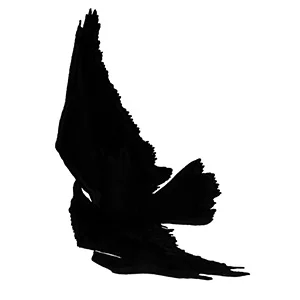 Raven Girl – Review and Artwork by Sarah McIntyre