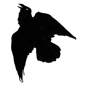 Raven Girl – Interview with Audrey Niffenegger and Wayne McGregor