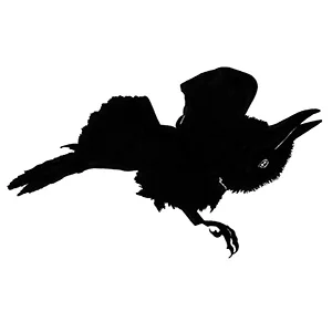 Raven Girl – Audrey Reads Excerpt from Raven Girl