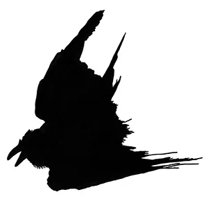 Raven Girl – What is Aquatint?