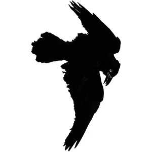 Raven Girl — in Rehearsal at the Royal Opera House Ballet