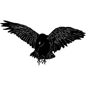 The Spring (and Summer) of Audrey Niffenegger