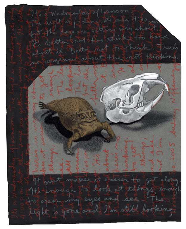 Toad Beaver Skull, 2000