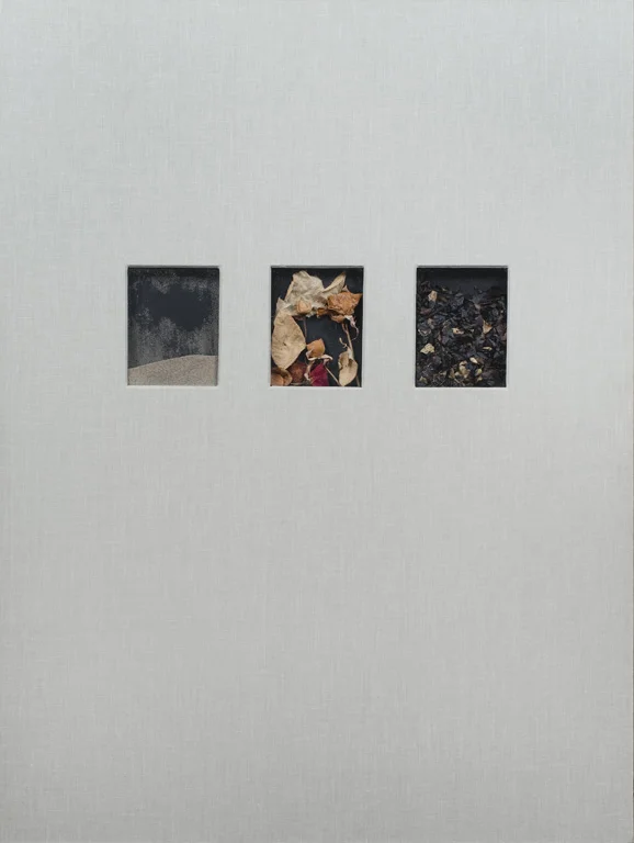 Vanitas_00_Front_Cover.jpg