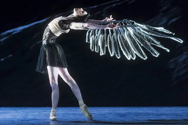 Sarah Lamb in Raven Girl © ROH/Johan Persson, 2013