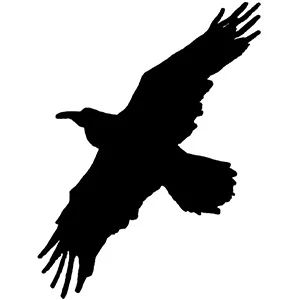 Georgina Godwin interviews Audrey Niffenegger