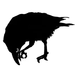 Niffenegger to curate ghost story collection