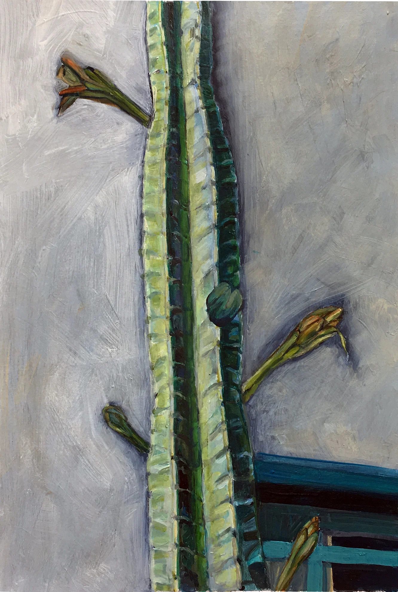 Saguaro