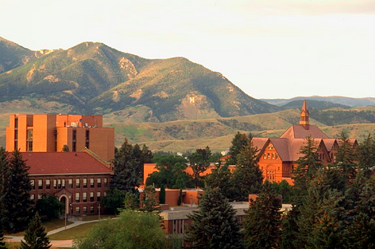 Image credit: Montana State University