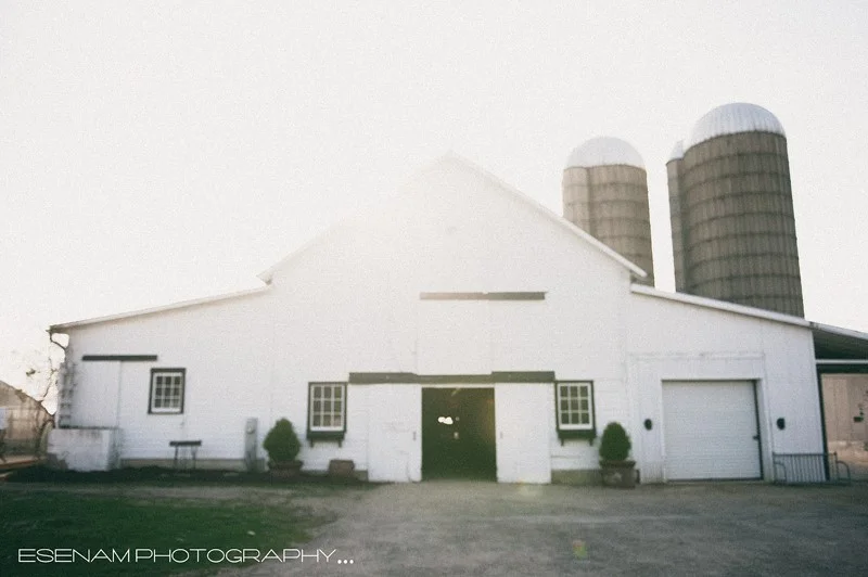 heritage_prairie_farm_gussied.jpg