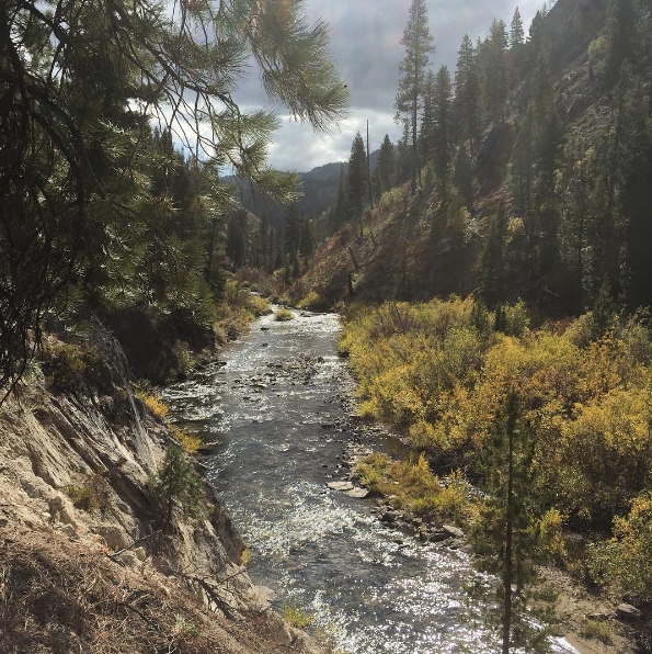On a hike to fly fish in one of Idaho's many rivers... 