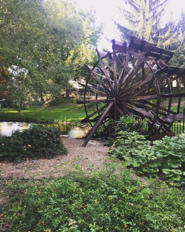 Our new Idaho backyard!