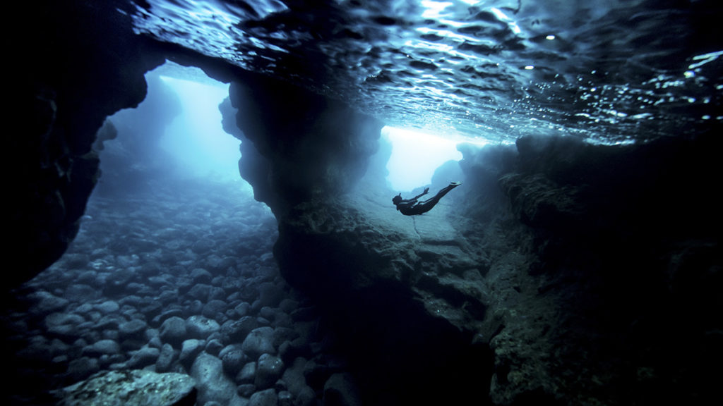Clean and healthy oceans = healthy and clean civilizations.
