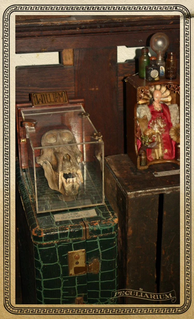 Michael Maker's art.jpg