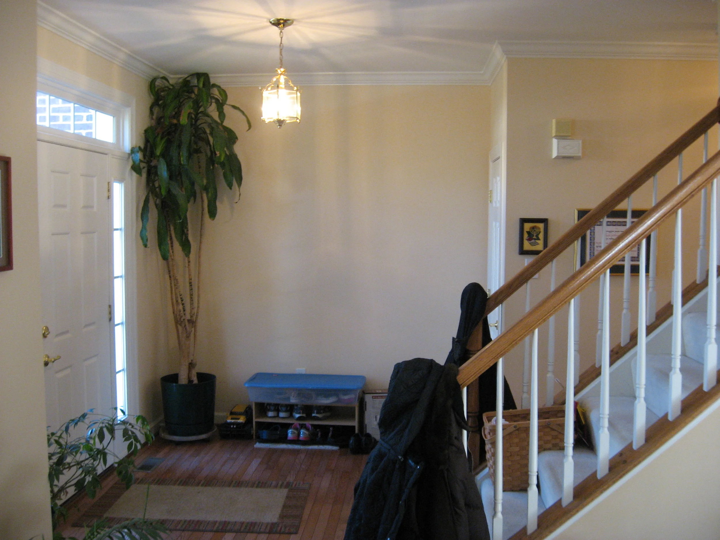 Picture 004.jpg