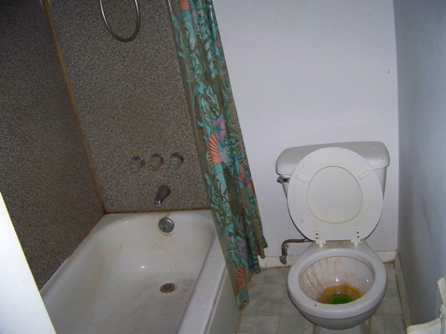scotts 045.jpg