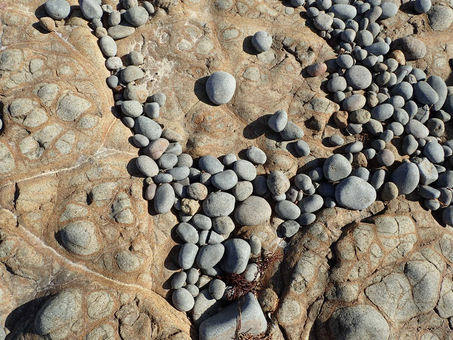 P2090151.jpg