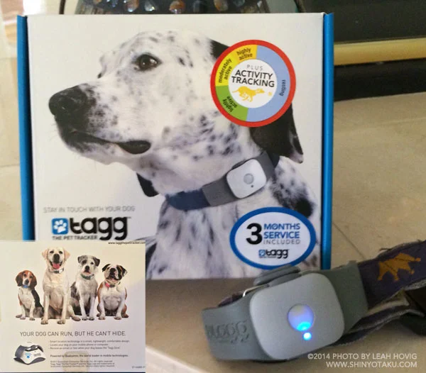 Best product you can buy for your dog Tagg The Pet Tracker www.tagg.com