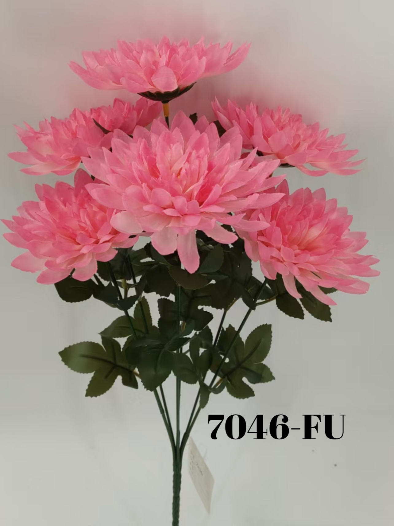 1749577433.5186129-2A213253-DD82-4351-9130-4A790B4DACD3.webp