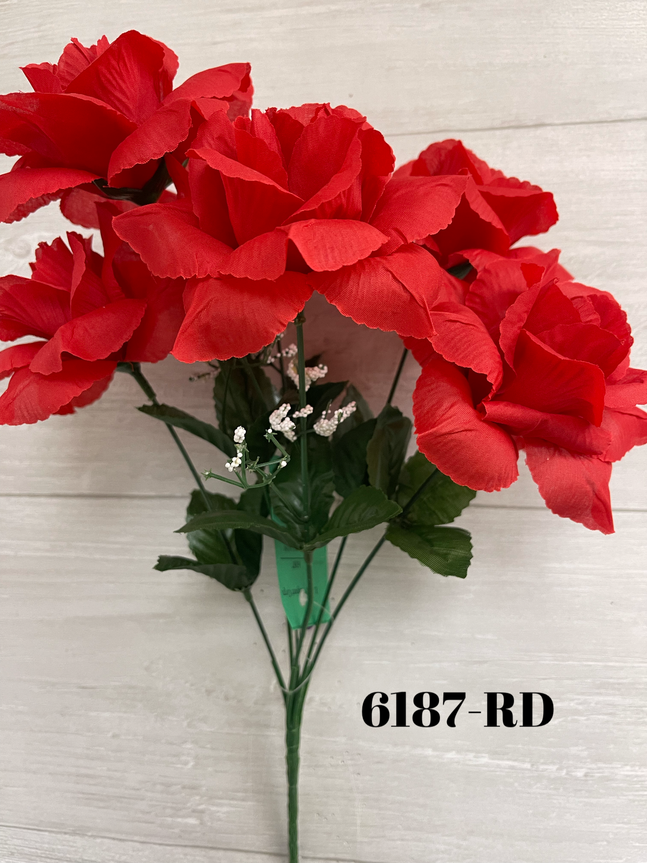 1672947676.562512-B4B8A60A-20C0-4723-93E6-75EBA2FB2332.webp