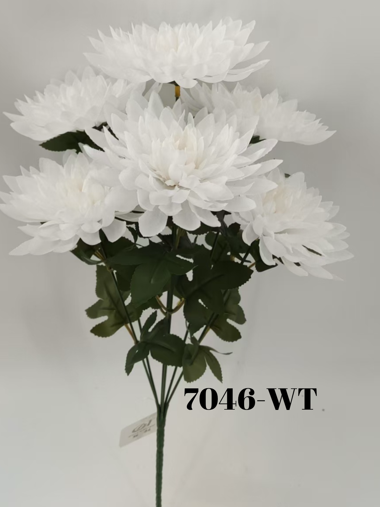 1749577175.7583508-A40F1270-FB96-46F7-95F8-2CF891492C24.webp