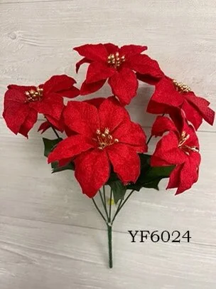 IMG_2036.jpeg
