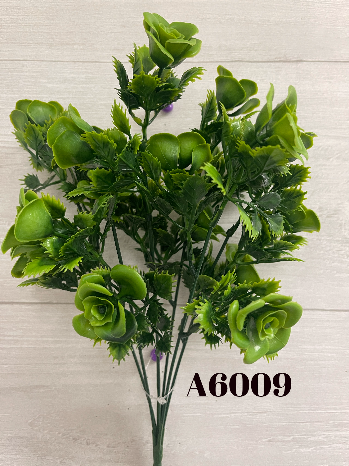 76D1FB58-0304-4E9B-ABB7-6FE8ABF94530.png