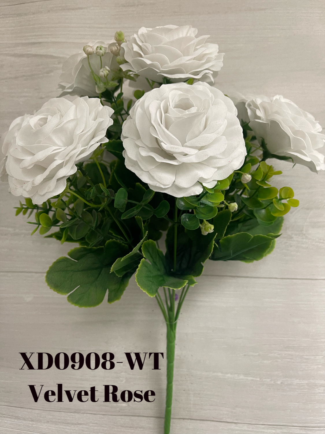 26BAA53D-E88A-46D9-A562-02AB649A6C3F.png