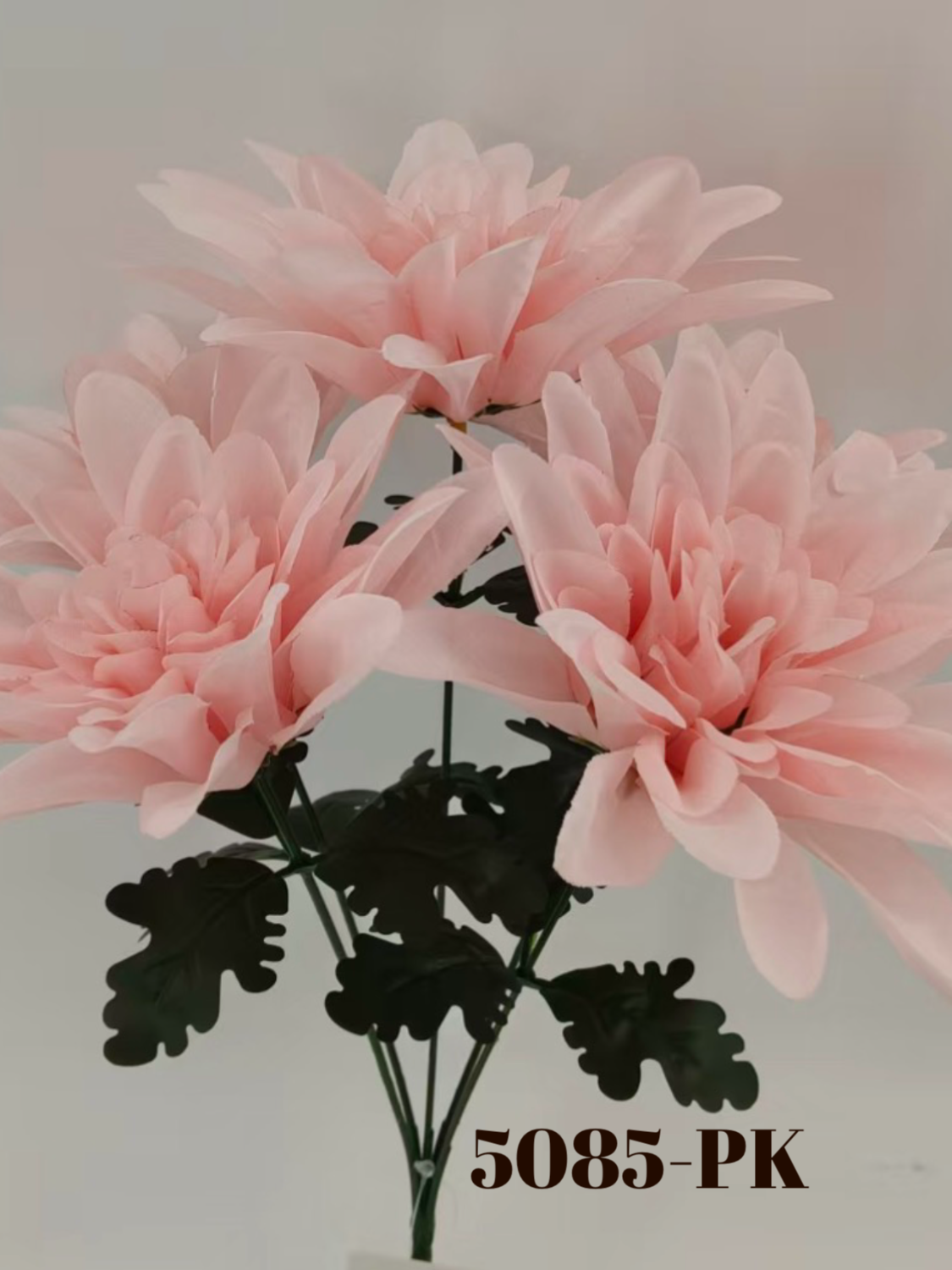 1779818321.170167-D482B9D8-3B87-4099-AA60-D80B14AE8DD3.png