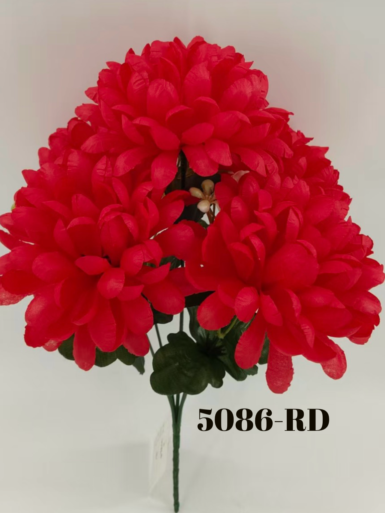 1774290448.63385-12E24683-D81A-452C-A87B-7CE45ED99728.png