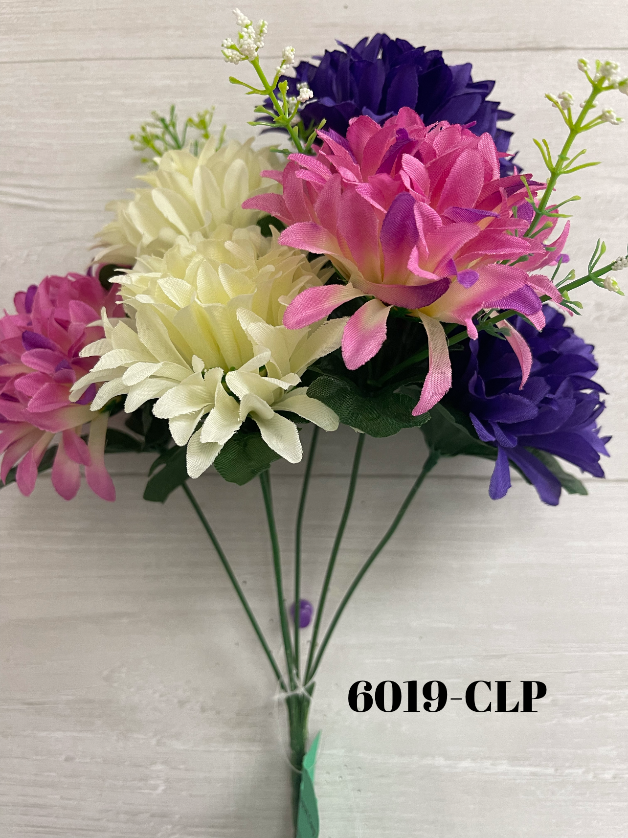 1666026934.692823-60FC1FB9-7B59-4991-A5EE-77AB433A694E.webp