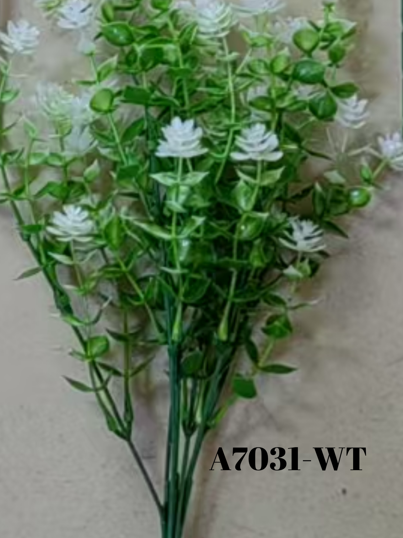 1750721045.845762-8B9AF576-4B66-4DB9-A268-09356A13A4A5.webp