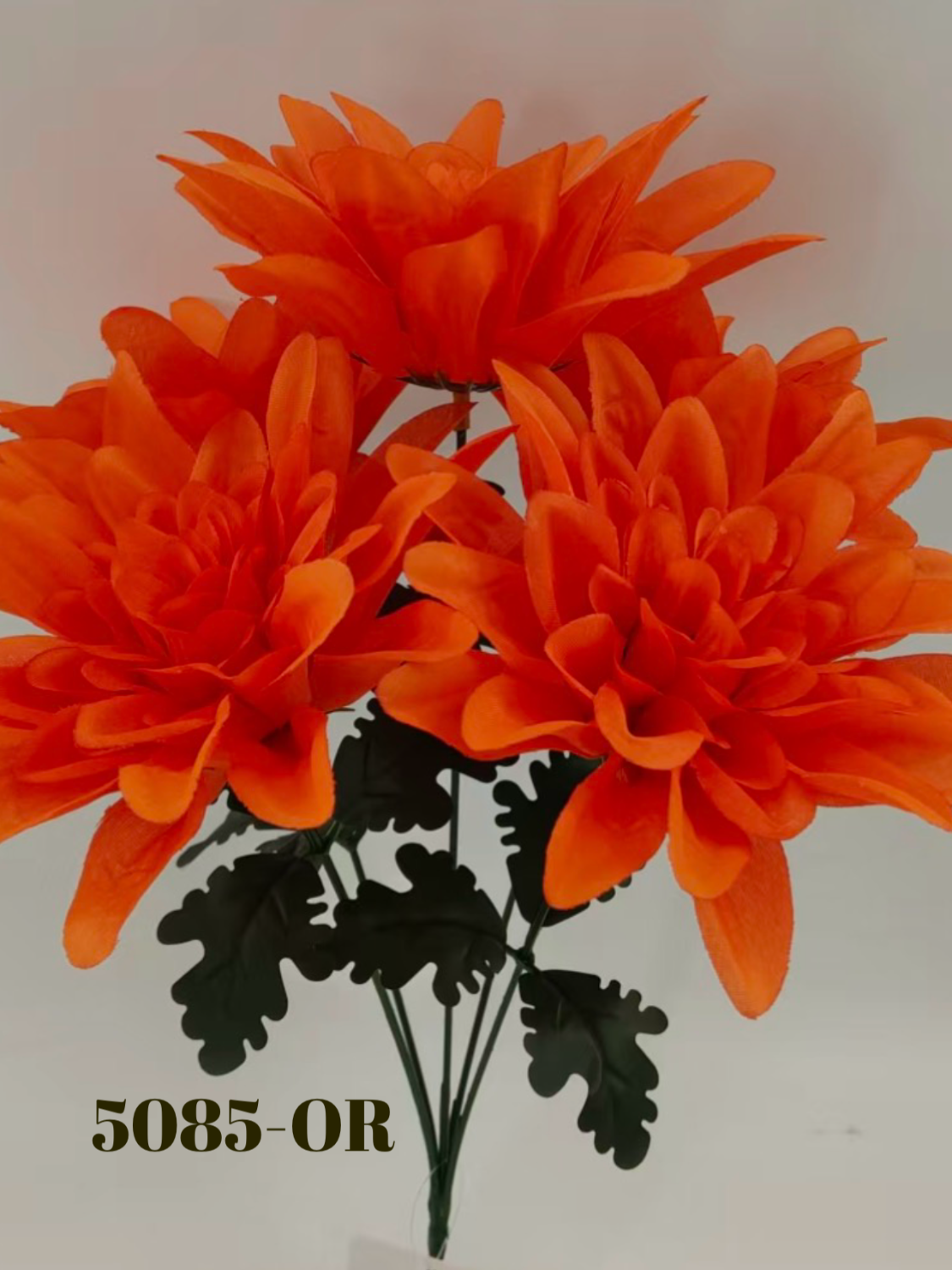 1779818293.135081-F1AB8D0D-72EB-4327-947E-2ADA7DA66A3A.png