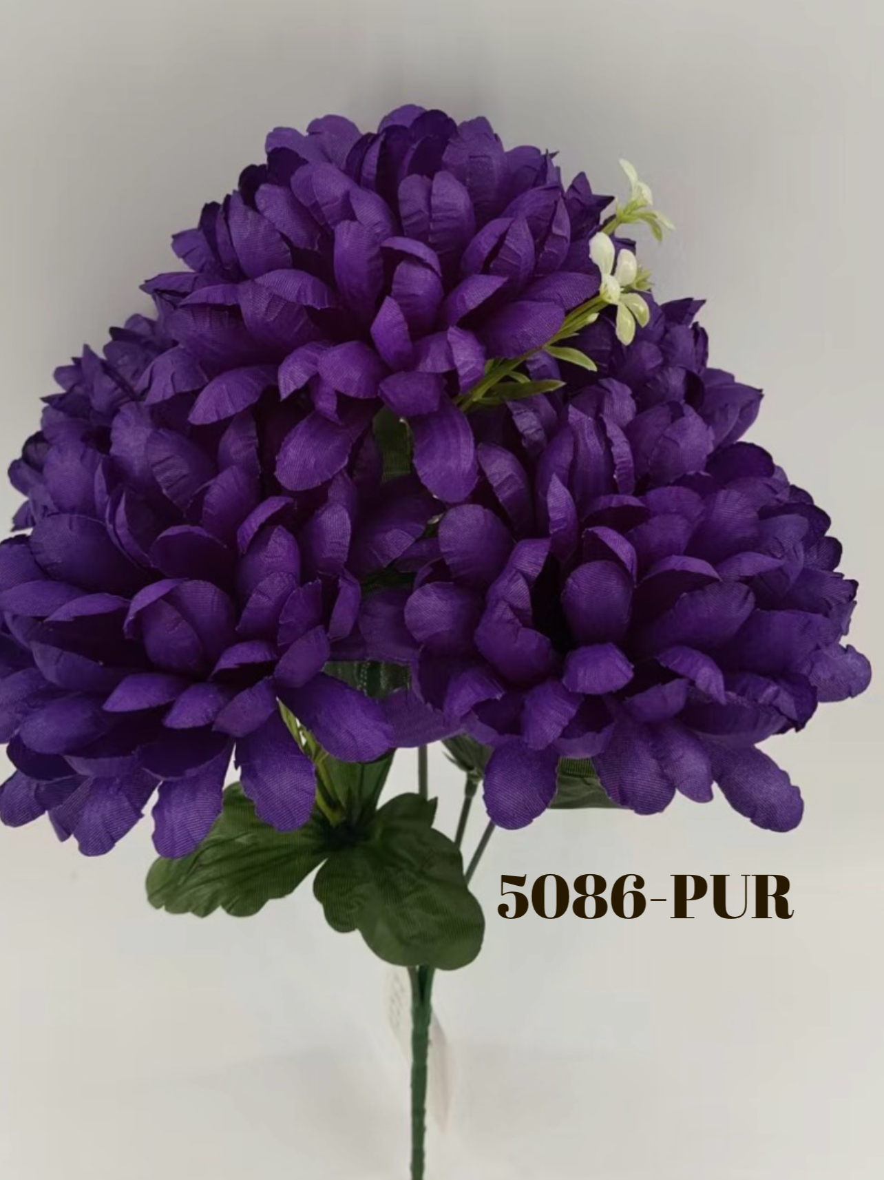 1774290390.0888638-CEF251A7-94D3-4834-9AAF-723FC4A277AD.png