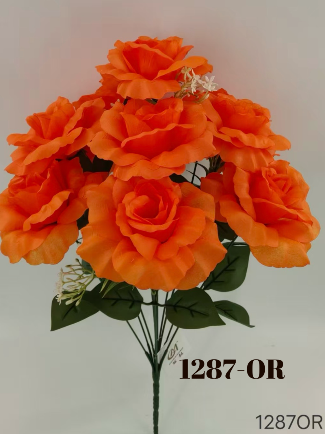 1779717740.4212132-1CBB8D27-020C-4011-BC04-1E535B262683.webp