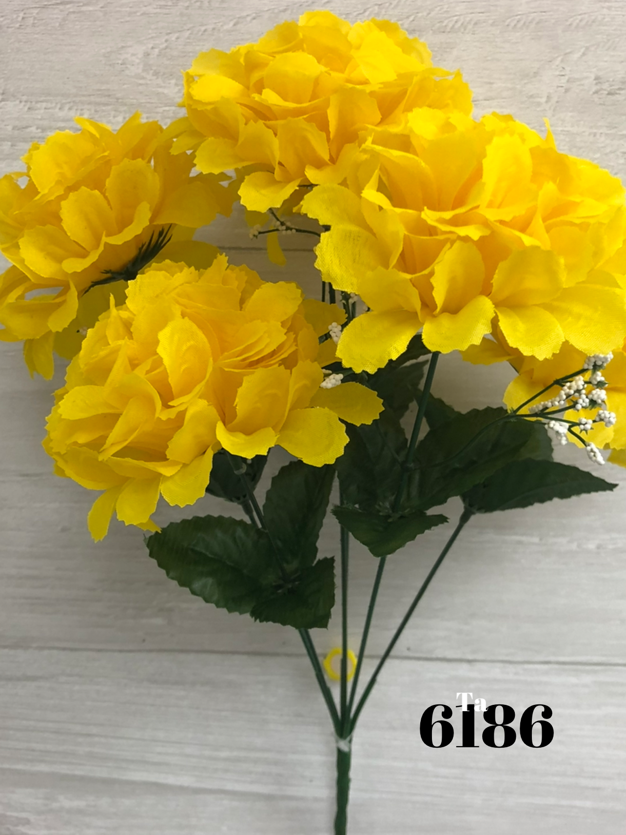 1628613299.7023911-205936DB-24BC-442B-8BDA-7F4F12FAB909.webp