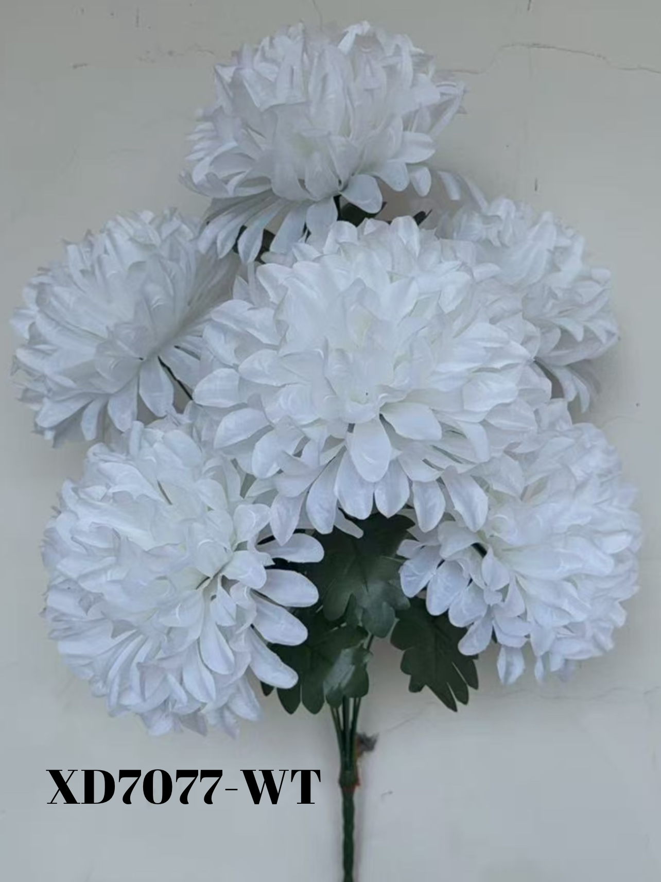 1756747076.483252-FB692ED9-F873-4FAE-99E2-CA83838D705E.webp