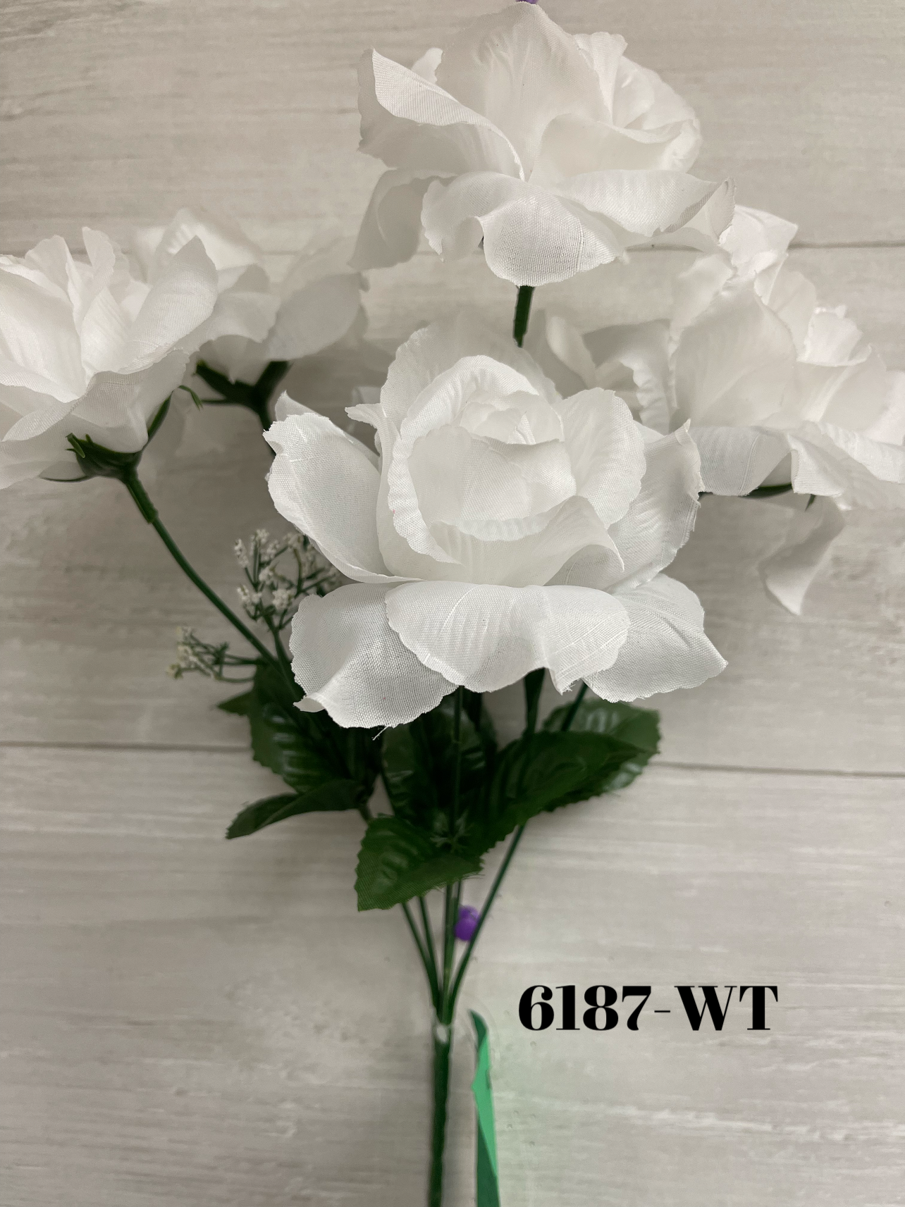 1672947803.331645-4E5B2CB4-0A8E-4478-B273-132D9DEDB5A1.webp