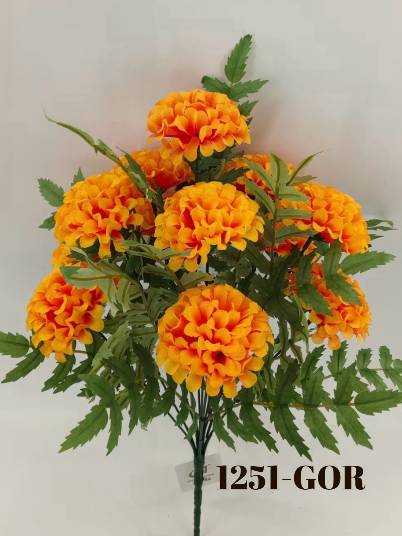 1774541916.050132-8A0EB1F4-D83D-427C-B52E-796BE0B97C44.webp
