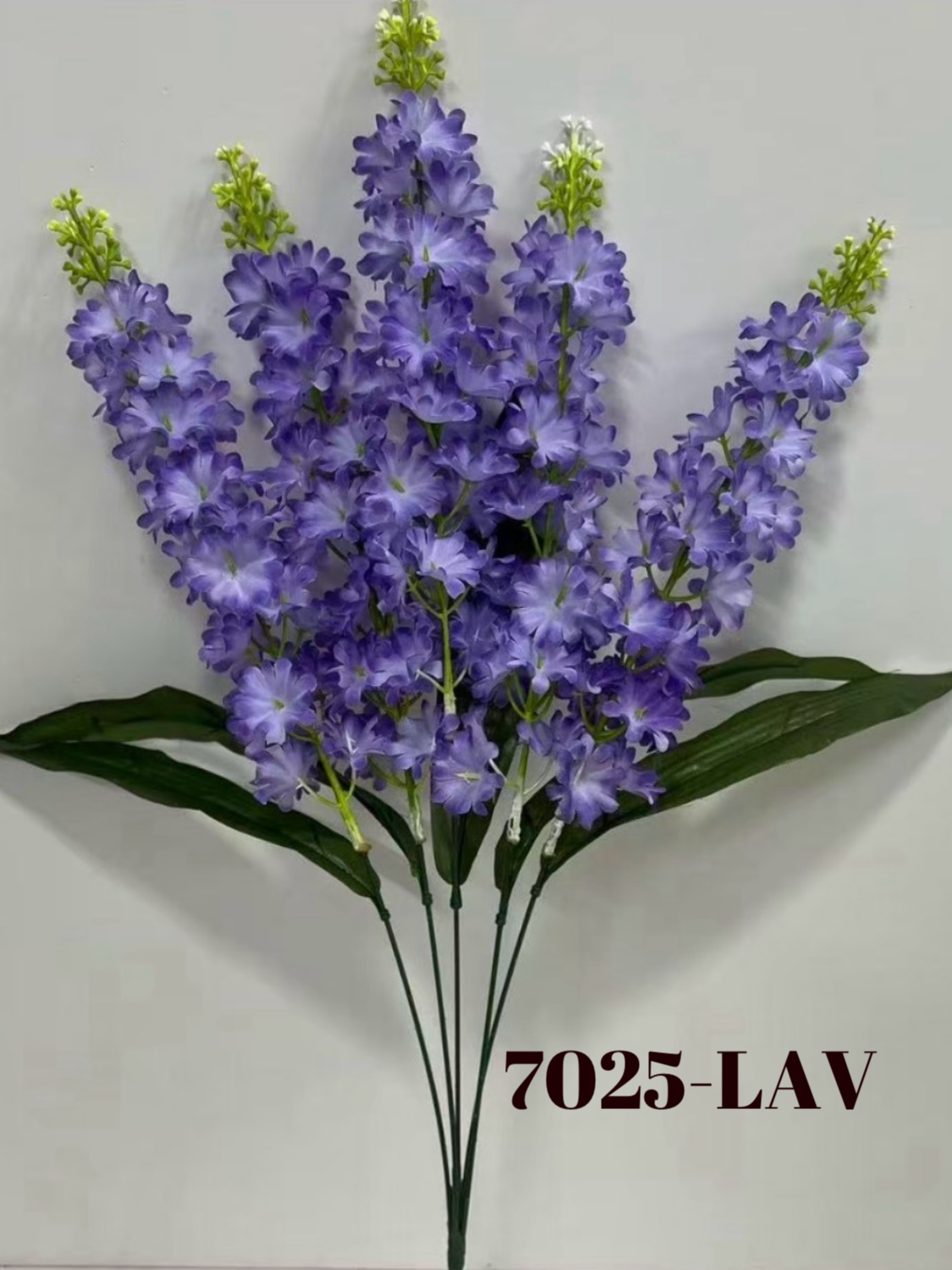1783976310.488343-A7553723-6E96-4C81-A489-C73F4928F184.png