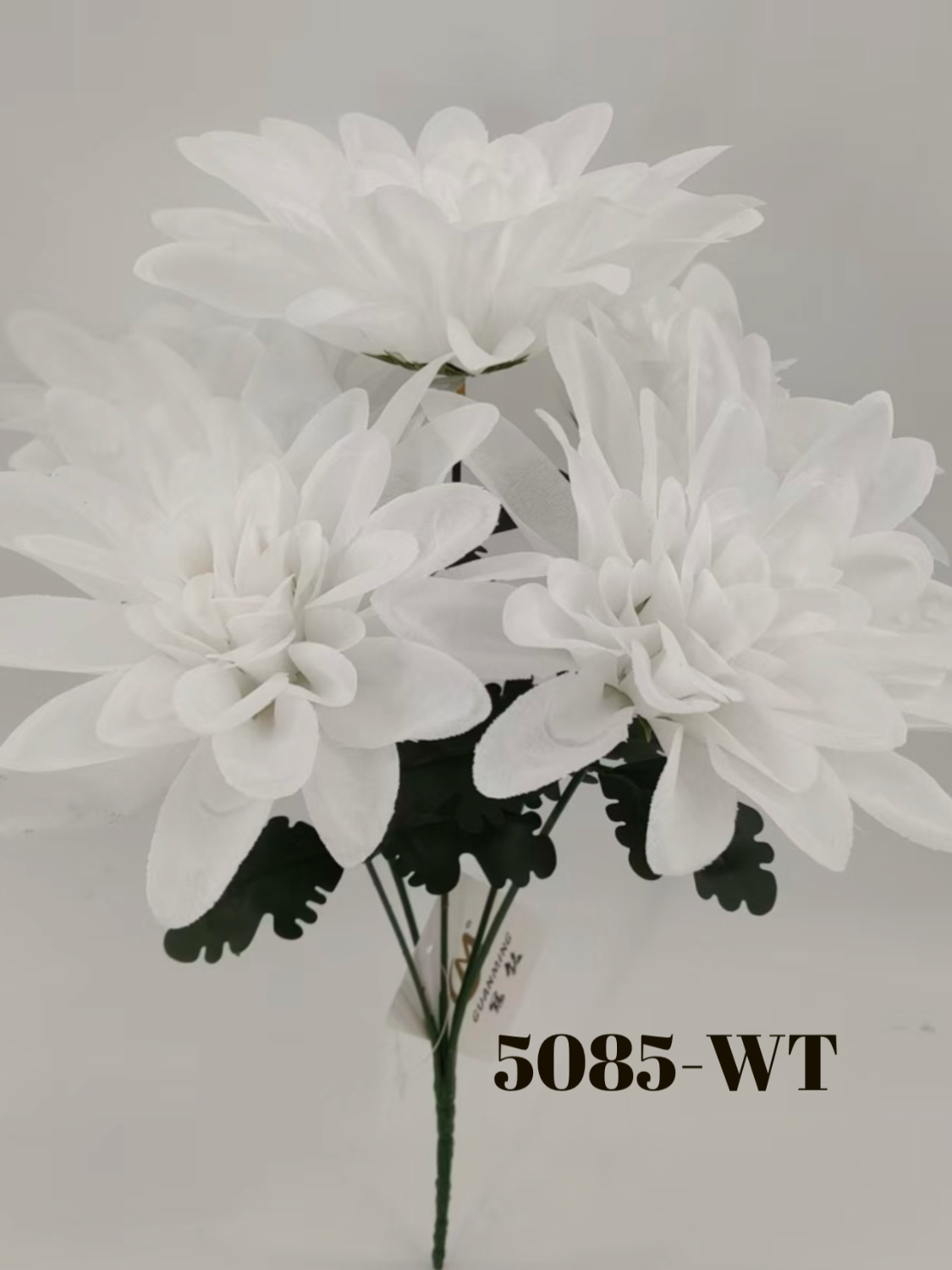 1779818448.953439-0320AA05-E655-4263-A676-50A48DE012C4.png
