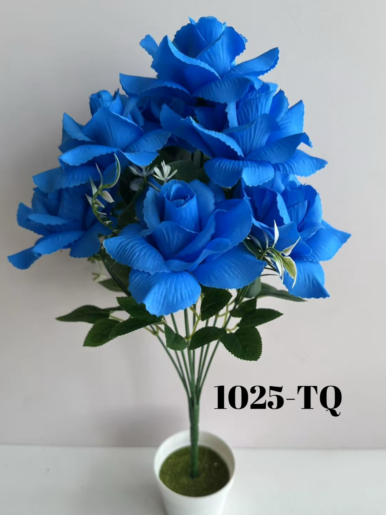 1750448185.971586-680B66E3-91AC-4981-B6B1-180F476C05B4.webp